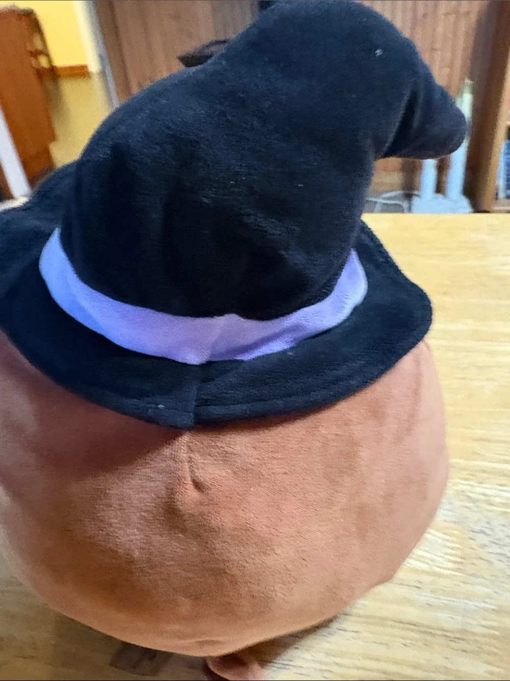 Squishmallows Walter Brown Bear Plush with Black Witch Hat